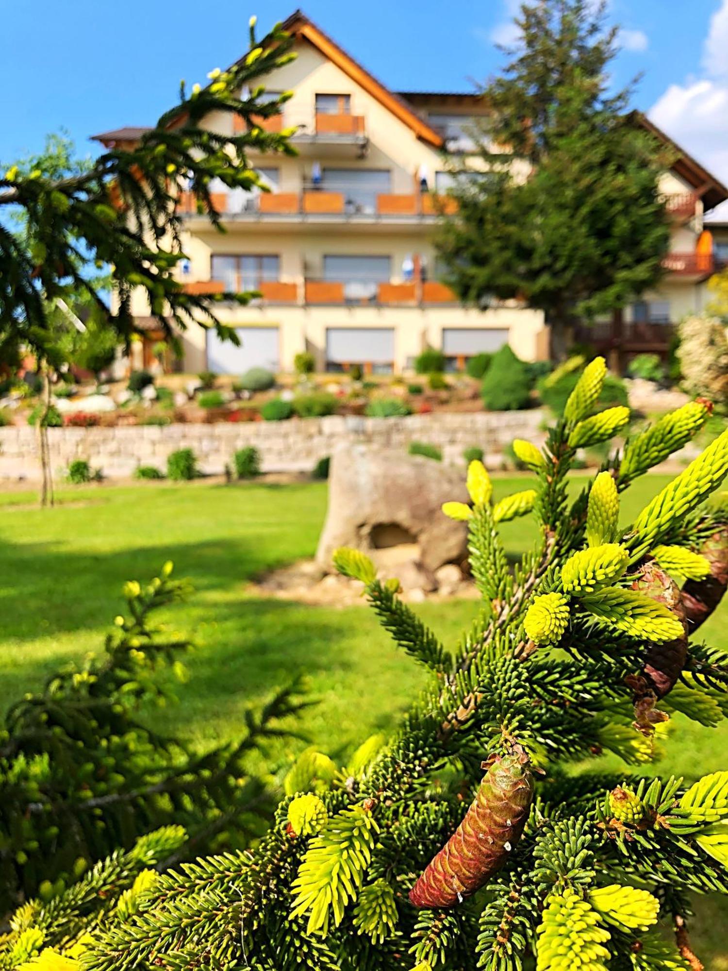 Hotel-Gasthof Rose Oberkirch  Dış mekan fotoğraf