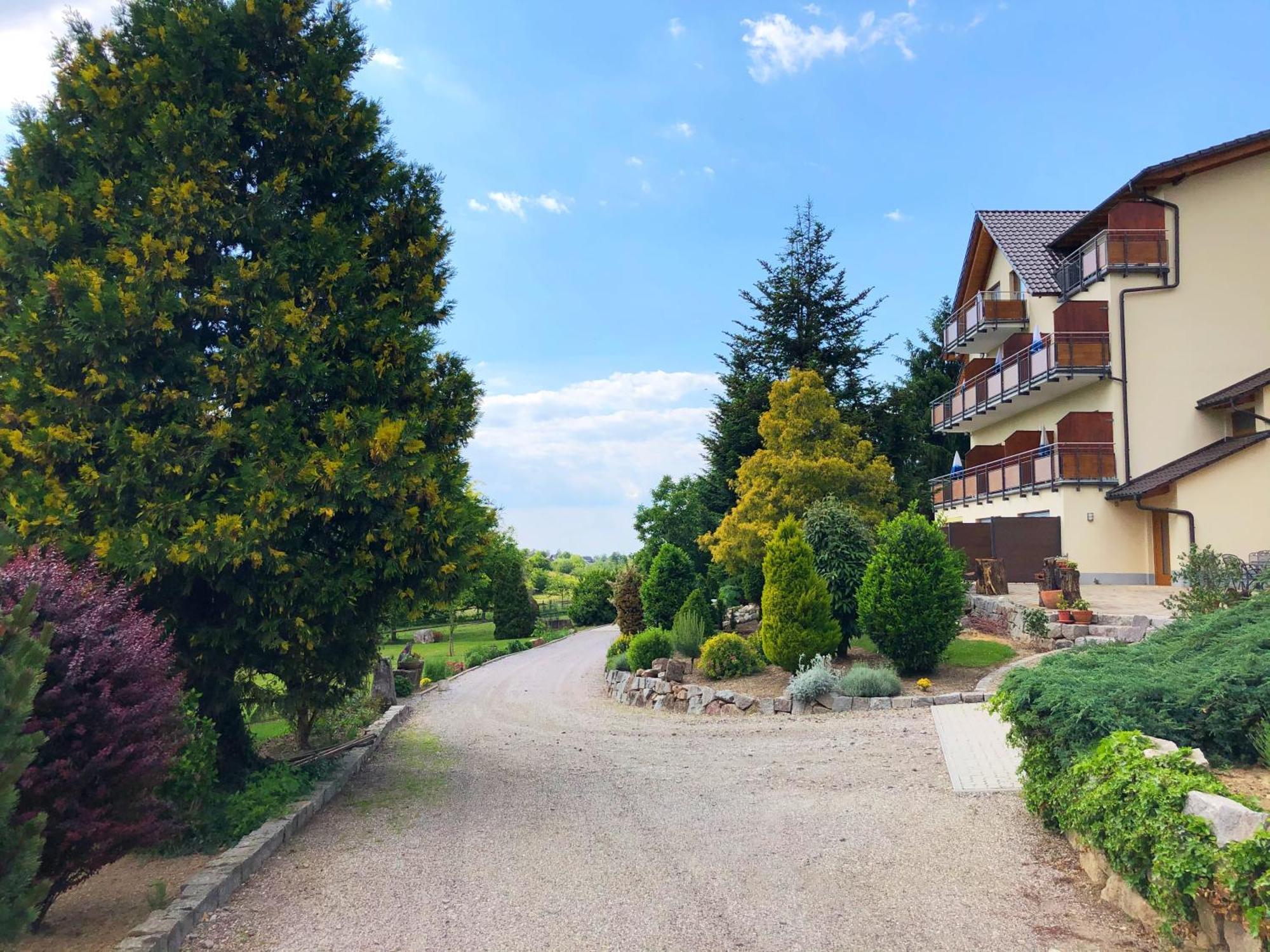 Hotel-Gasthof Rose Oberkirch  Dış mekan fotoğraf