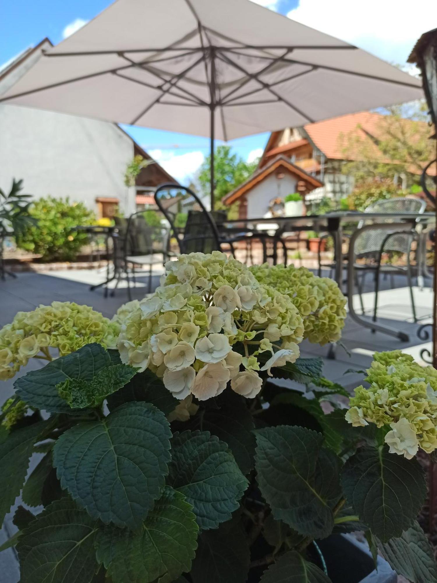 Hotel-Gasthof Rose Oberkirch  Dış mekan fotoğraf