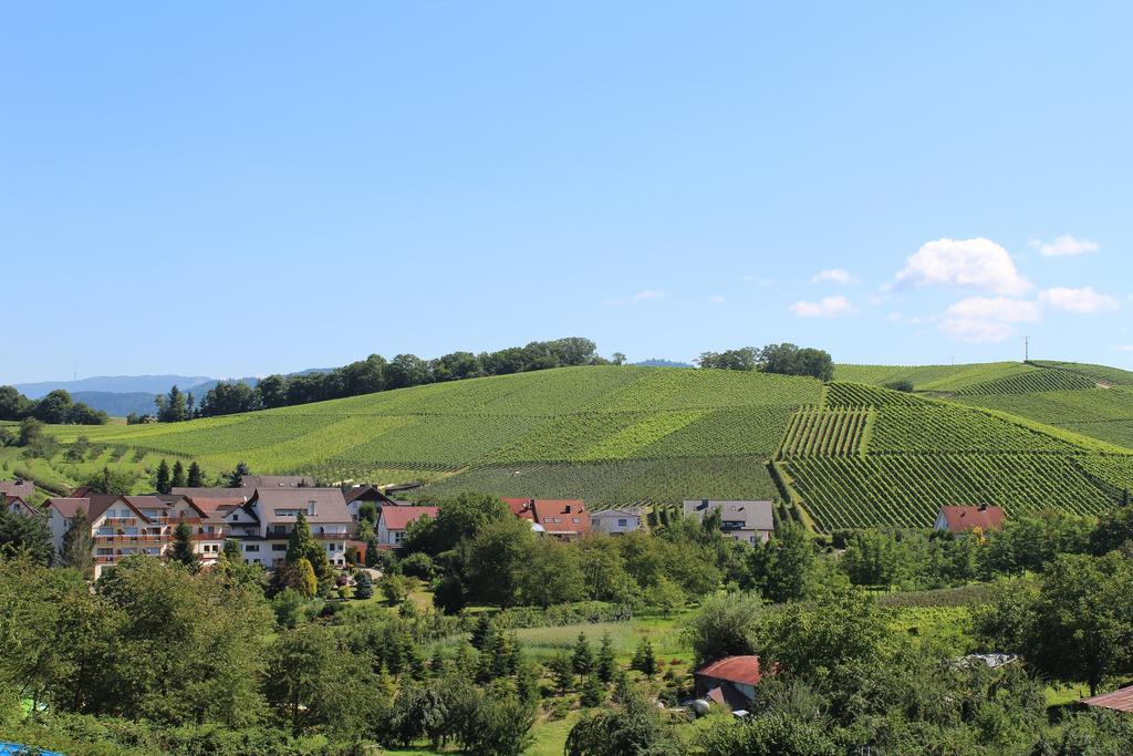 Hotel-Gasthof Rose Oberkirch  Dış mekan fotoğraf